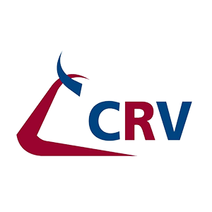 CRV