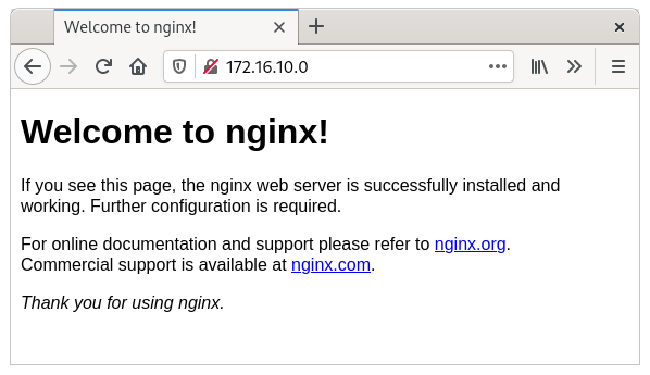 NGINX welcome page confirming the web server is installed and running
