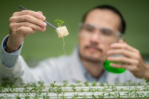 Researcher examining a young plant seedling in a laboratory environment